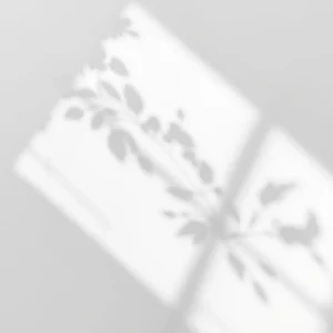 I Segreti dell’Anti-Aging: Come Rallentare il Tempo dall’Interno